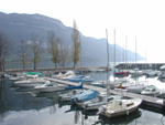 08100044.jpg (11852 octets)