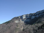 91010032.jpg (14196 octets)