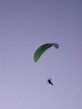 91010026.jpg (15603 octets)