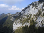 91030019.jpg (13753 octets)