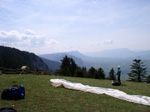 91010005.jpg (13027 octets)