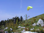 06040014.jpg (12928 octets)