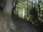 08250050.jpg (11901 octets)