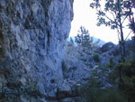 08120024.jpg (14953 octets)