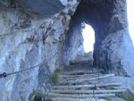 06300030.jpg (14747 octets)