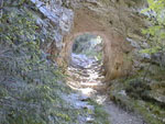 06300004.jpg (12656 octets)