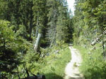 Pic00049.jpg (17751 octets)