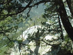 Pic00061.jpg (18629 octets)