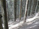 Pic00075.jpg (15837 octets)