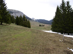 06300030.jpg (14747 octets)