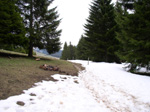 08100033.jpg (14549 octets)