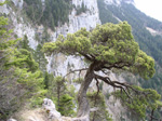 06150038.jpg (12836 octets)