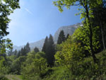 91010002.jpg (11148 octets)