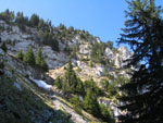91010002.jpg (11148 octets)