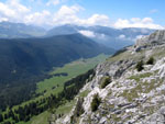 91010002.jpg (11148 octets)